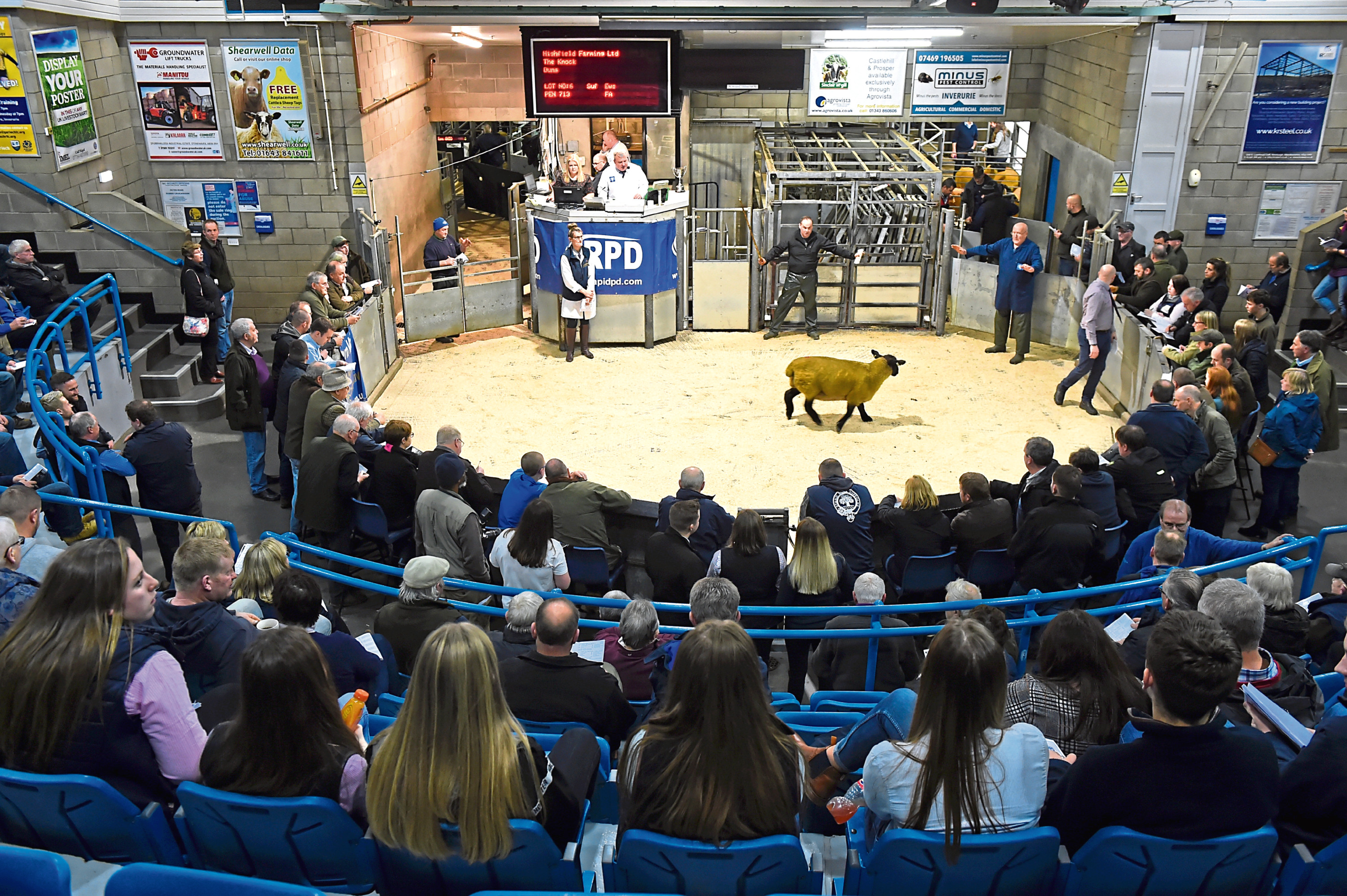New guidelines are in place for those visiting auction marts.