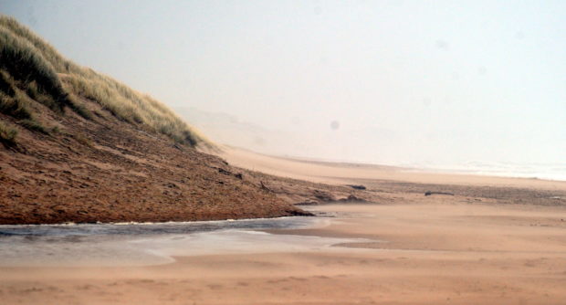 The man alleged Hay, 69, abused him a number of times in the car park at Balmedie Beach in Aberdeenshire.