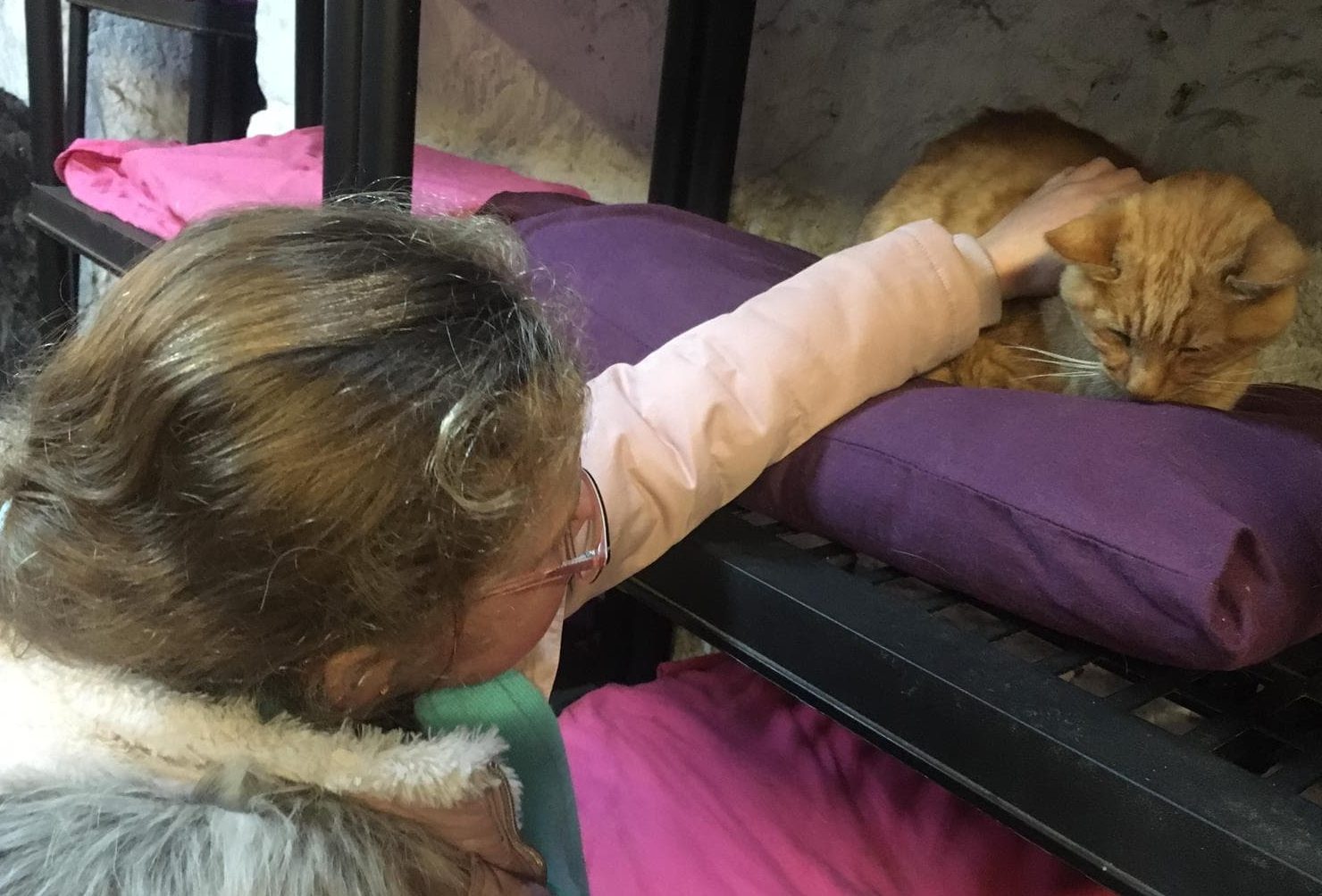 Sienna Falconer visiting the cats at Willow's Animal Sanctuary