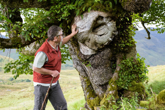 The Last Ent of Affric has been hailed for its efforts as the “symbolic leader” in the battle against Dutch elm disease
