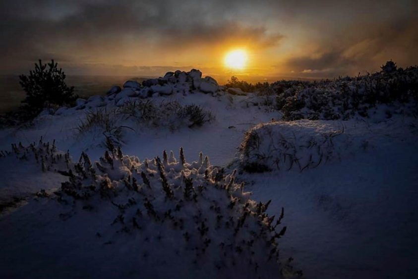 Sunrise over Bennachie. Picture by William Bird