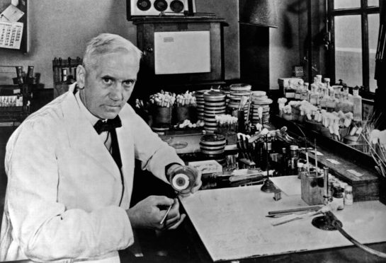 Sir Alexander Fleming, (6 August 1881 - 11 March 1955) was a Scottish biologist, pharmacologist and botanist who discovered Penicillin. (Photo by Universal History Archive/Universal Images Group via Getty Images)