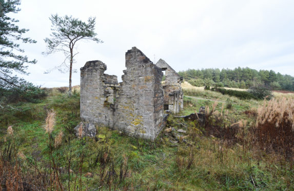 Millie Bothy, near Roseisle Beach.