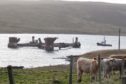 The Buchan Alpha oil platform which is being dismantled at Dales Voe in Lerwick broke free from the pier overnight in windy weather.