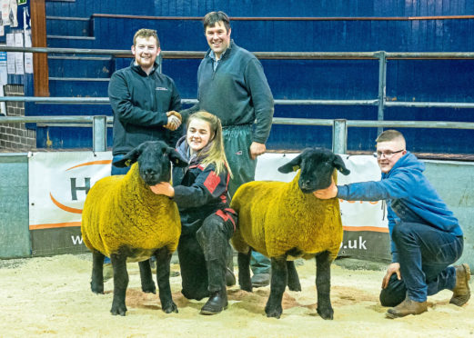 The two 9,000gn Birness gimmers with, on the back row from left, Mark Priestley and Melvin Stuart. At the front are Gemma Stuart and Murray Stuart.
