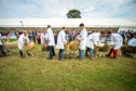 RHASS has announced the judges line-up for the 2020 Royal Highland Show.