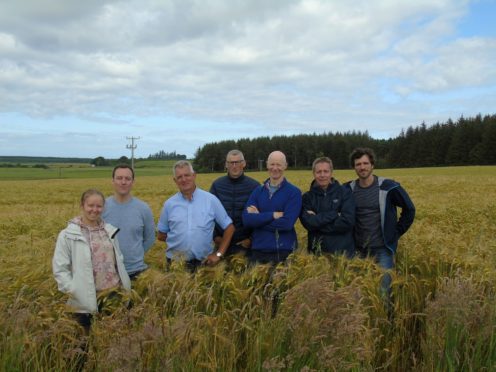 Windswept, members of the Moray Leader local action group and Belgian representatives at Pitgaveny Farm.