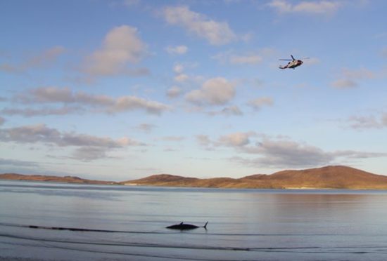 The beached whale off Luskentyre Beach.