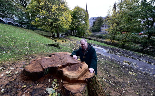 Councillor Bill Cormie with a UTG tree. Picture by Kami Thomson