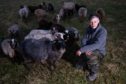Sheep farmer Christine McKinnon with her depleted flock