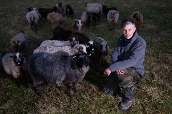 Sheep farmer Christine McKinnon with her depleted flock