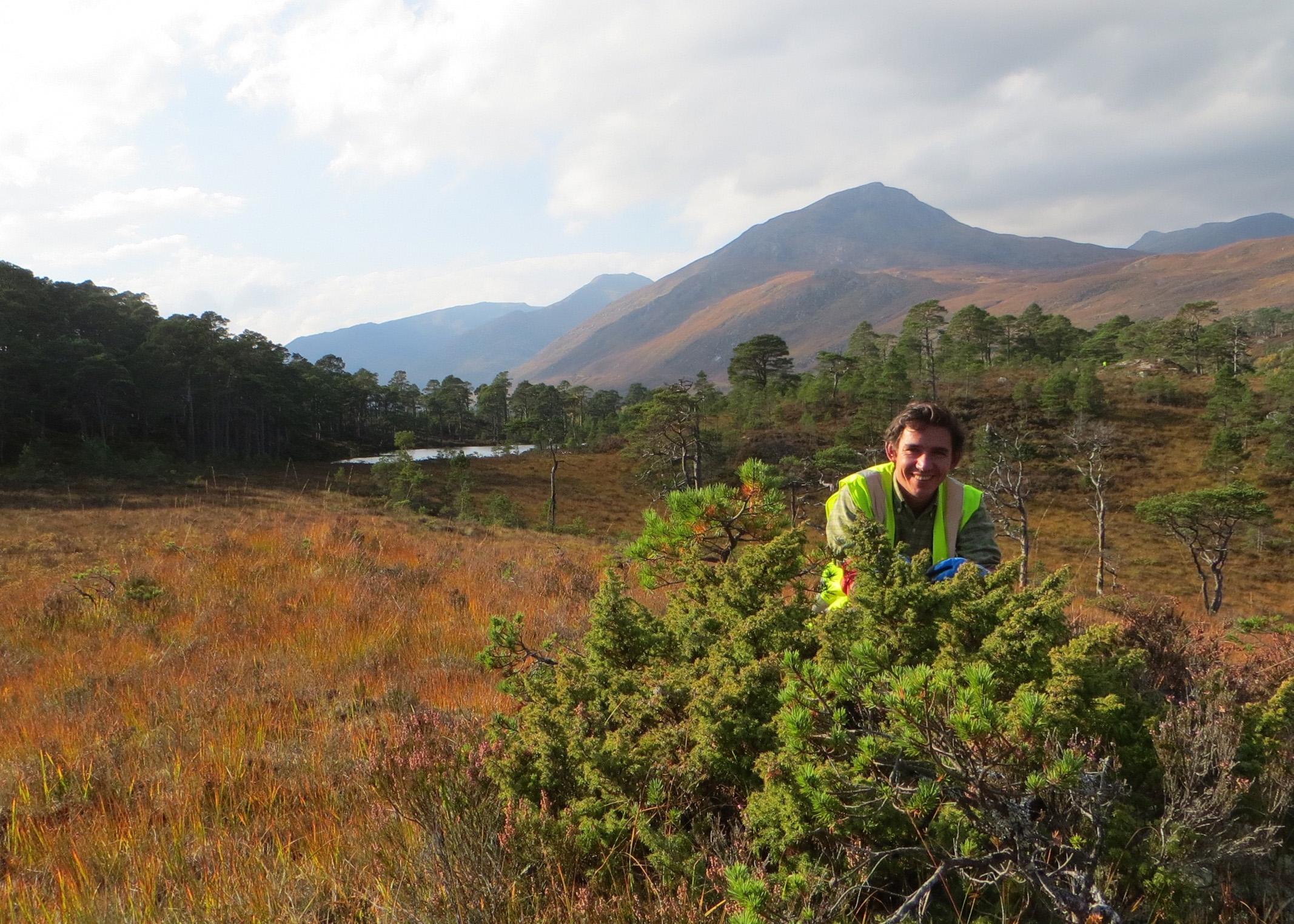 Trainee Nick collecting Juniper seed