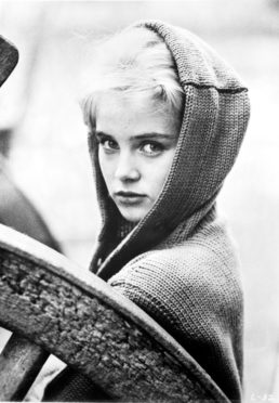 Mandatory Credit: Photo by MediaPunch/REX/Shutterstock (10513856c)
Sue Lyon
Sue Lyon