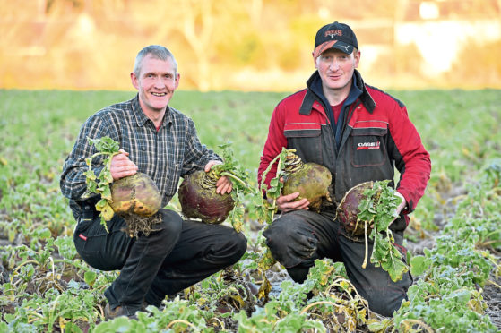 Rodney Blackhall, left, and his nephew Euan Blackhall with their champion turnips at Balbridie Farm, Crathes.