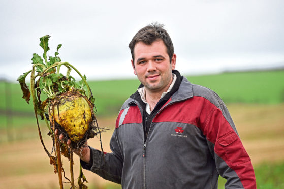 Stewart Davidson with one of his champion fodder beets at West Cortiecram Farm, Mintlaw.