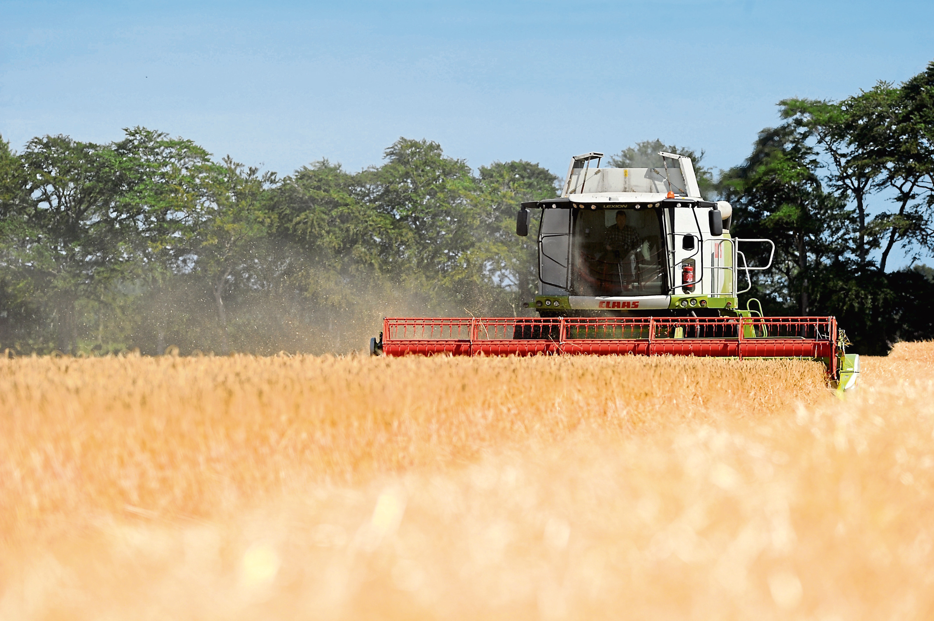 Scientists warn the loss of AMOC could decimate the country’s arable farming sector.