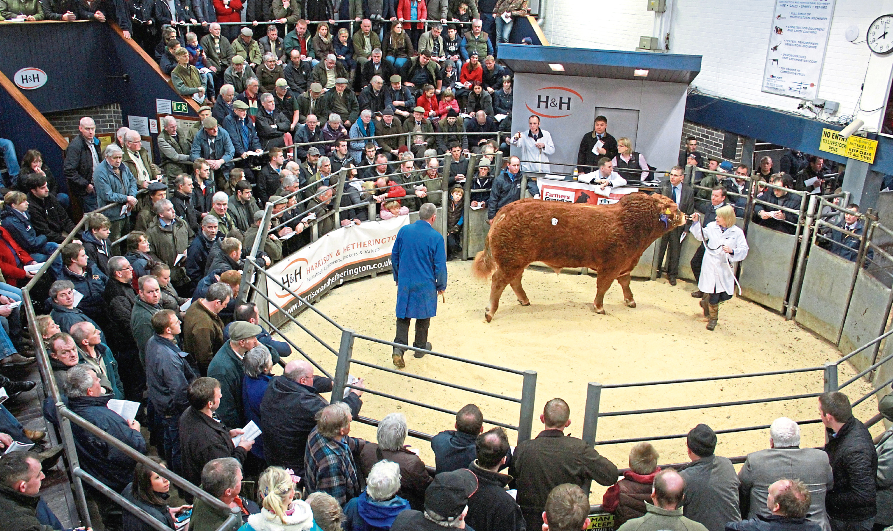 The sale will take place at Harrison and Hetherington's Borderway Mart in Carlisle.