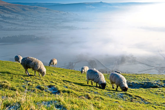 Farmers are encouraged to make use of the emergency planning document.