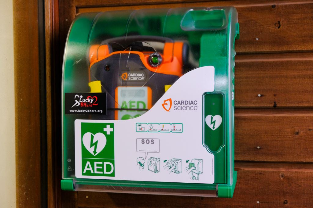 An example of a defibrillator
