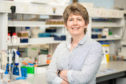 Professor Valerie Speirs has published research on the rise in male breast cancer in Scotland