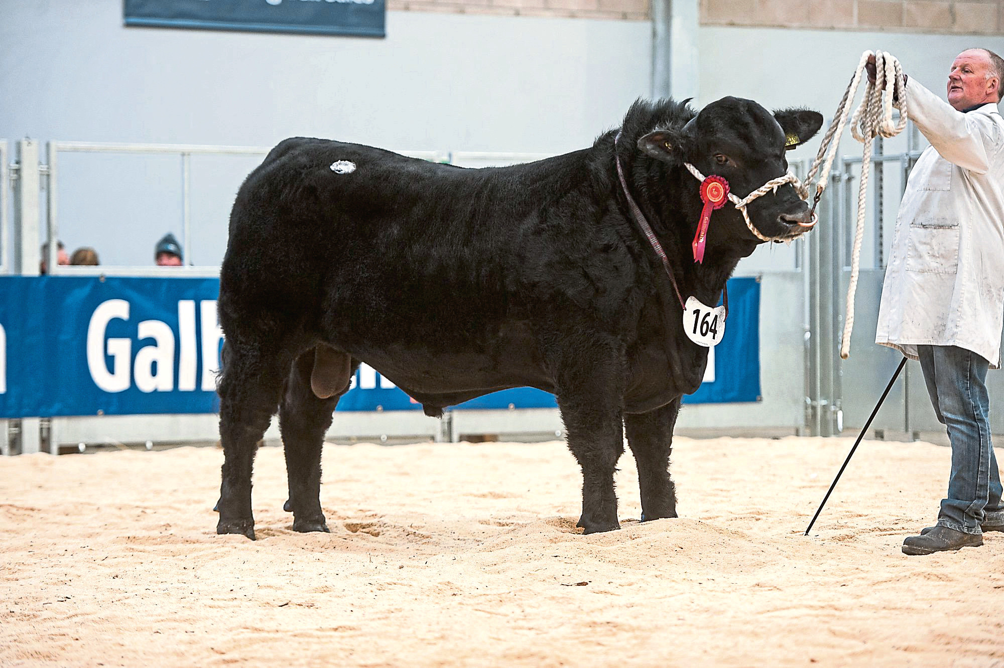 Gordon Barney topped the Aberdeen-Angus trade at 25,000gn.