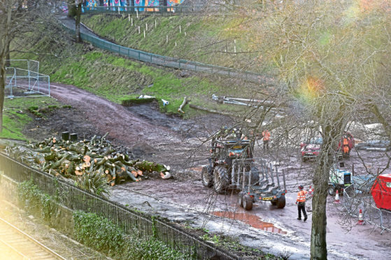 Trees getting the chop at Union Terrace Gardens.

Picture by Scott Baxter