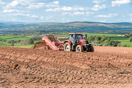 A 12-month project, which involved 30 growers across Scotland, was set up to capture the true fixed costs of running an arable or potato enterprise.
