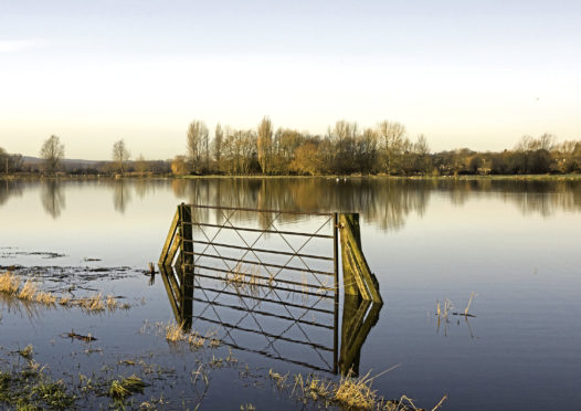 Waterlogged and flooded land means English farmers are increasingly turning to spring barley.