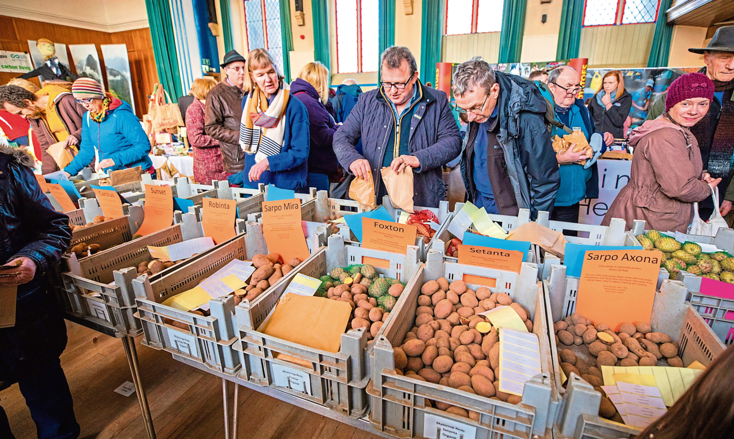 Strathmore Tattie Day. Picture by Steve MacDougall