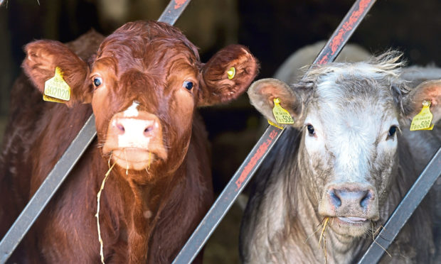 Worms are costing the UK livestock industry an estimated £270m a year.