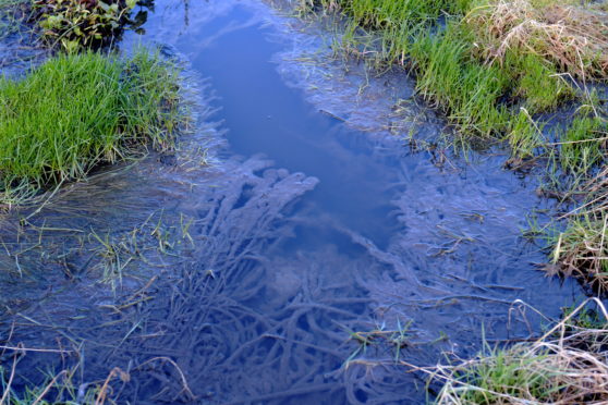 Aboyne residents said the fields at the treatment works smell highly unpleasant