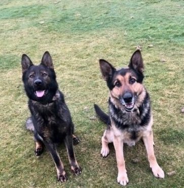 PD Kane has replaced the retiring PD Drax in the north-east police force.