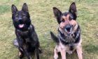 PD Kane has replaced the retiring PD Drax in the north-east police force.
