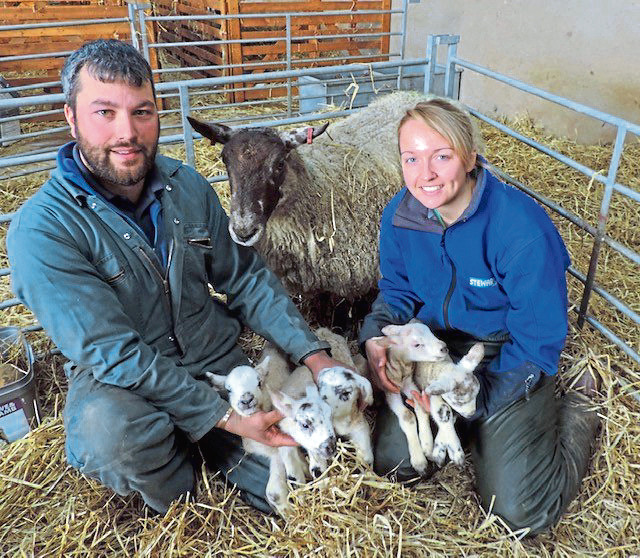 Kevin and Emma Reid with their ewe and her five lambs.