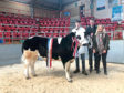 Duncan Munro, Invercharron, who stood overall champion, with judges William Moir and Rebecca Stuart.