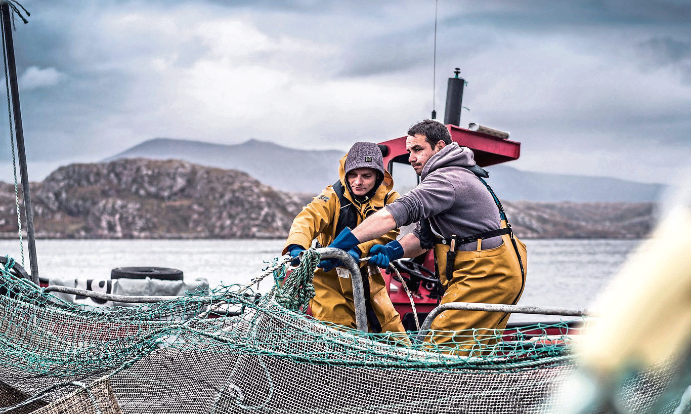 Salmon farm workers pulling in net
