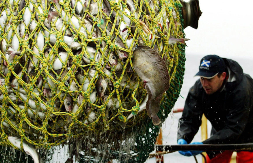 MSP Beatrice Wishart says Shetland has two machines used for testing fish diseases that could be repurposed to test for Covid-19.