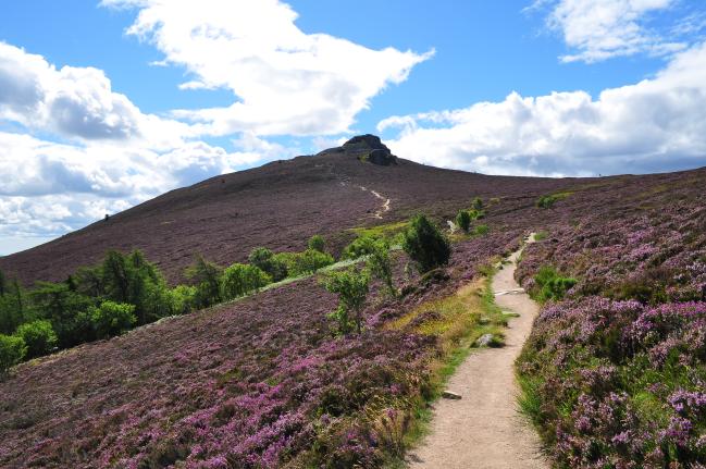 The view up Bennachie. Photograph courtesy of the Bailies of Bennachie conservation group
