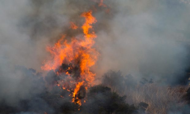 Wildfire on the hillside by the A97, between  Lumsden and  Rhynie Aberdeenshire.