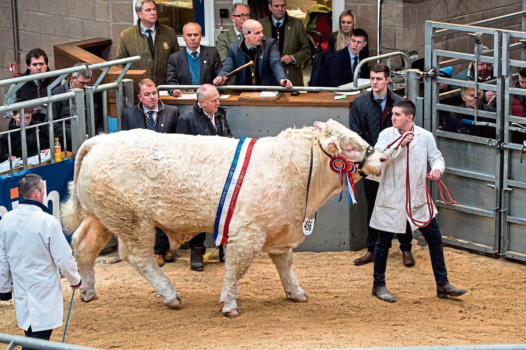 The May Stirling Bull Sales has been cancelled and UA will directly market bulls instead.