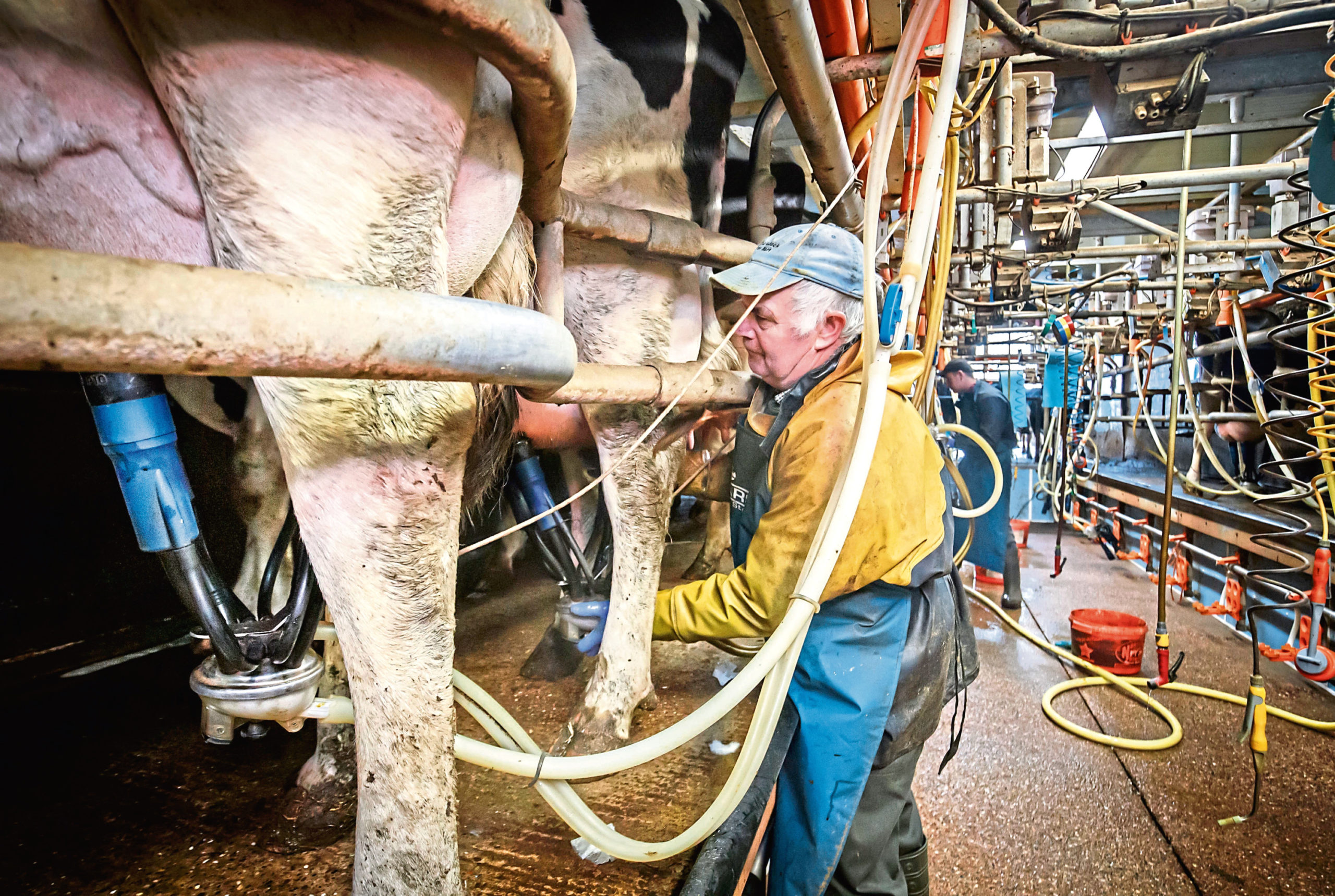 Dairy farmers are being encouraged to record any Covid-19 related losses.