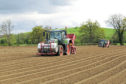AHDB collects levies across the UK for the potatoes, cereals and oilseeds, dairy and horticulture sectors.