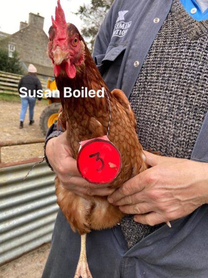 Tullochgorum Farm competitor, Susan Boiled.