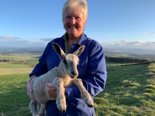 Alison Ross with one of her lambs