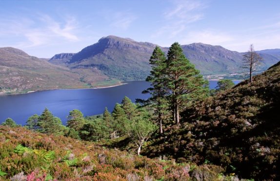 Beinn Eighe Nature Reserve in Ross-shire