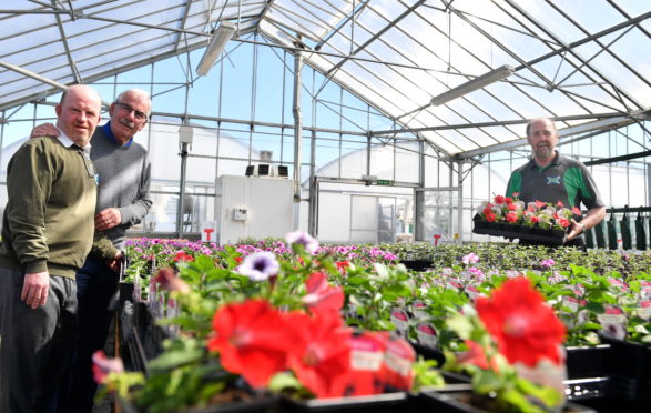 L-R: Andrew with his father Alan Milton in the greenhouse at Foxlane and Foxlane owner Gordon Henderson: Picture by Kami Thomson