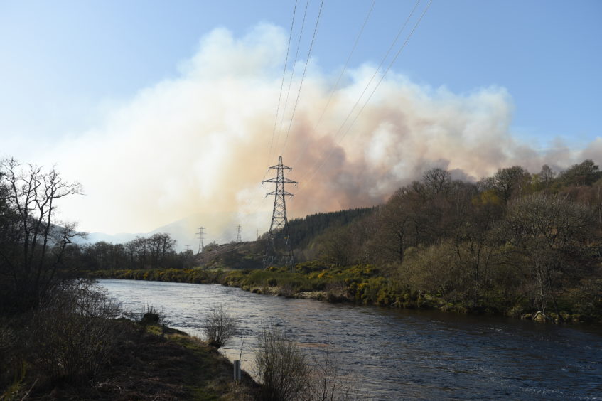 Smoke rising from the scene of the wildfire. Picture by Jason Hedges.