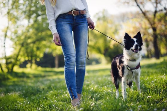 People are reminded to keep dogs on leads.