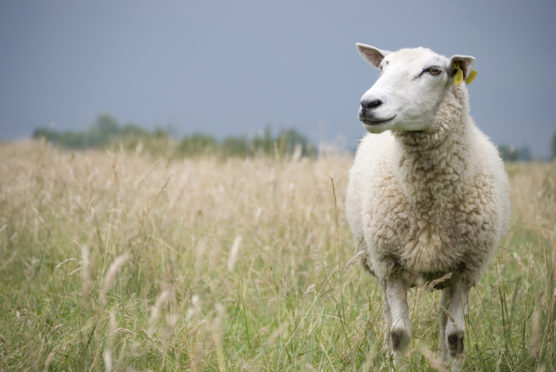 Landlords are urged to delay spring farm rent reviews.