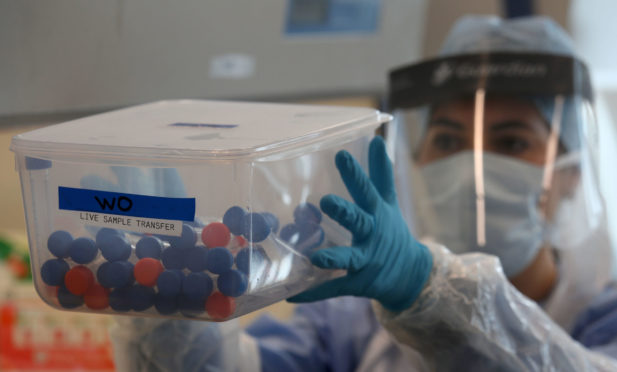 A worker at the testing lab at Queen Elizabeth University Hospital, Glasgow.